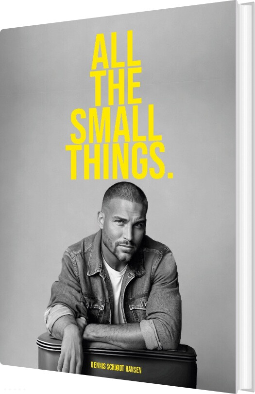 Billede af All The Small Things - Dennis Schjødt Hansen - English Book