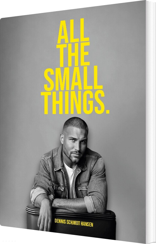 All The Small Things - Dennis Schjødt Hansen - English Book