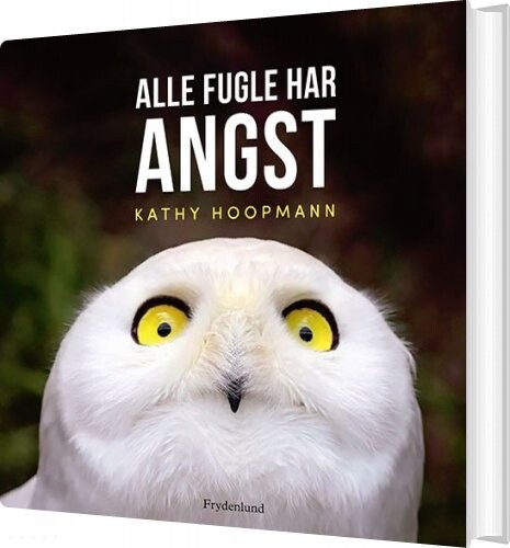 Billede af Alle Fugle Har Angst - Kathy Hoopmann - Bog