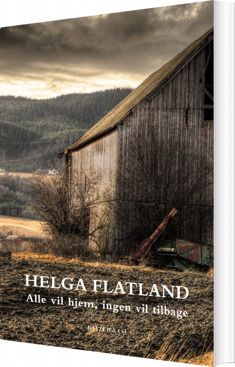 Billede af Alle Vil Hjem, Ingen Vil Tilbage - Helga Flatland - Bog