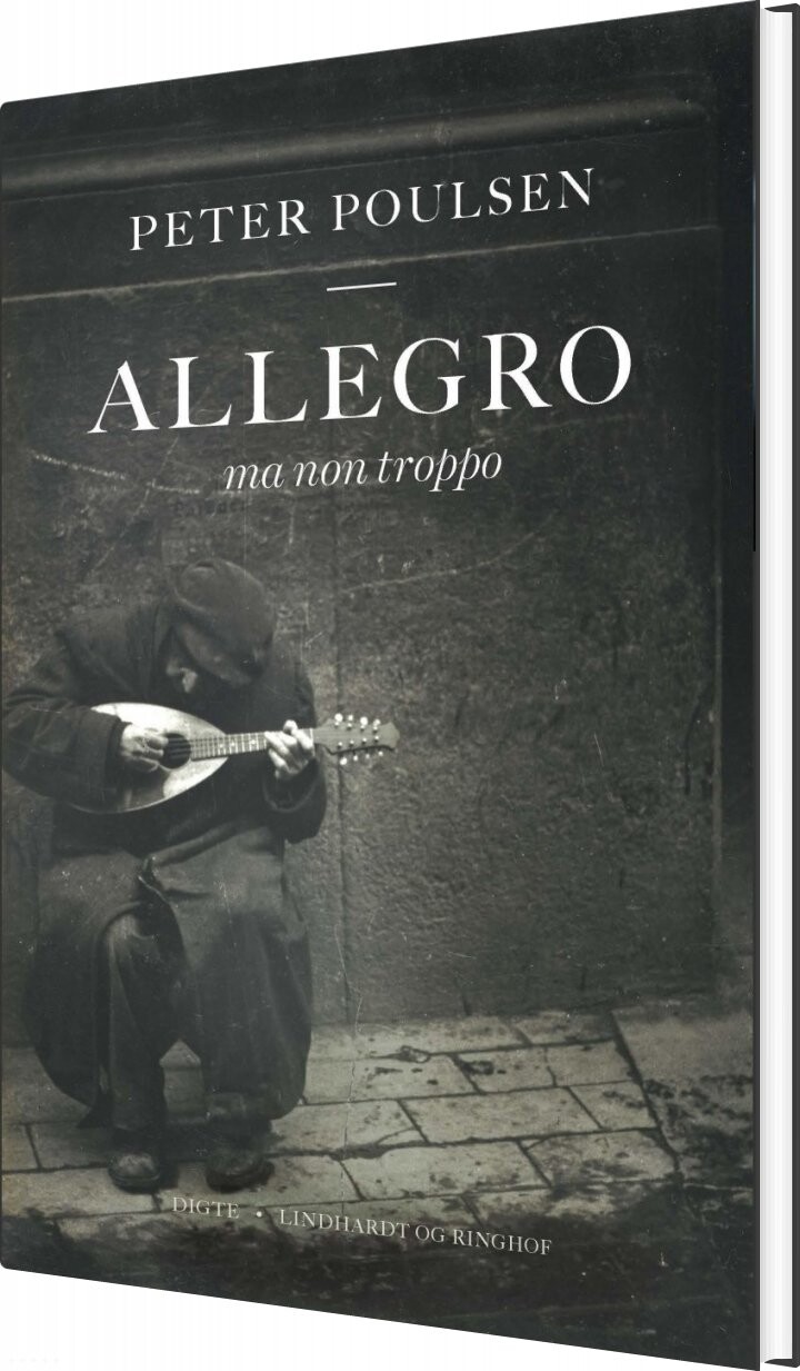 Billede af Allegro Ma Non Troppo - Peter Poulsen - Bog