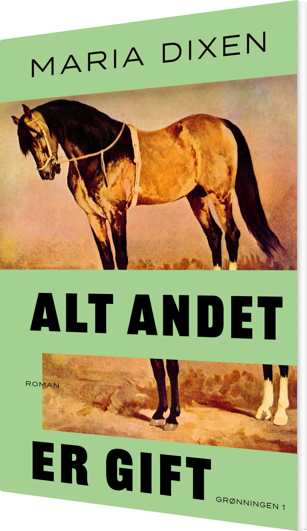 Billede af Alt Andet Er Gift - Maria Dixen - Bog