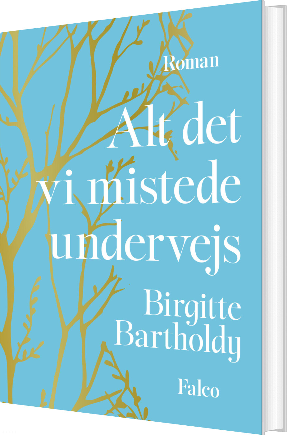 Alt Det Vi Mistede Undervejs af Birgitte Bartholdy - Indbundet Bog