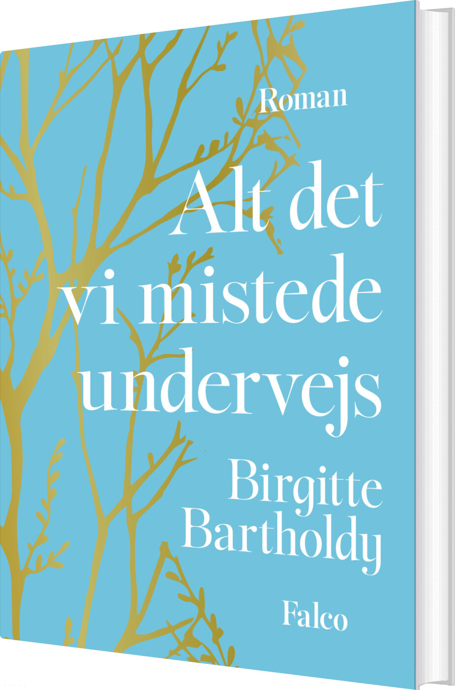 Alt Det Vi Mistede Undervejs - Birgitte Bartholdy - Bog