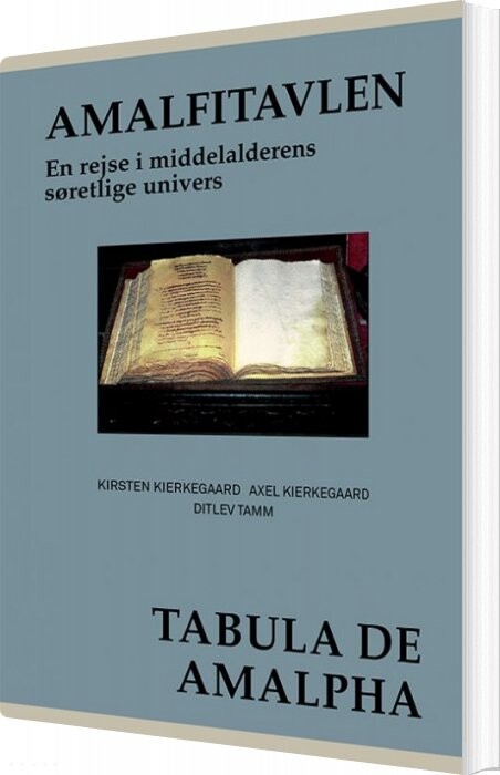 Billede af Latinerkvarteretamalfitavlen - Ditlev Tamm - Bog