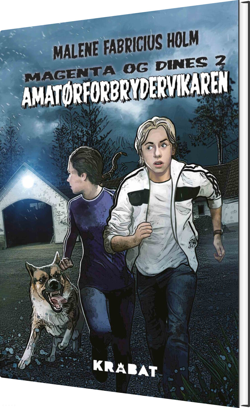 Amatørforbrydervikaren - Malene Fabricius Holm - Bog