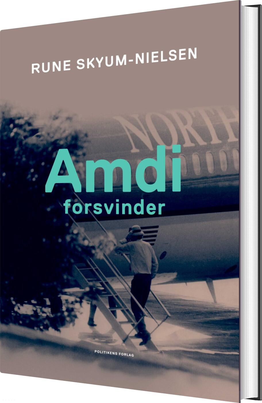 Amdi Forsvinder - Rune Skyum-nielsen - Bog