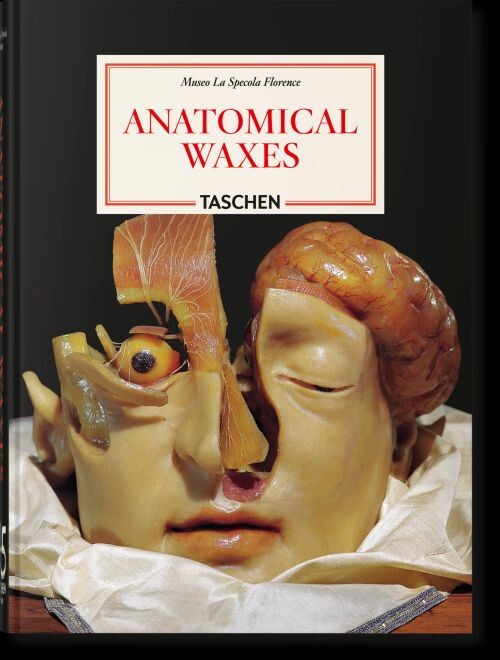 Anatomical Waxes. 45th Ed - Marta Poggesi - English Book