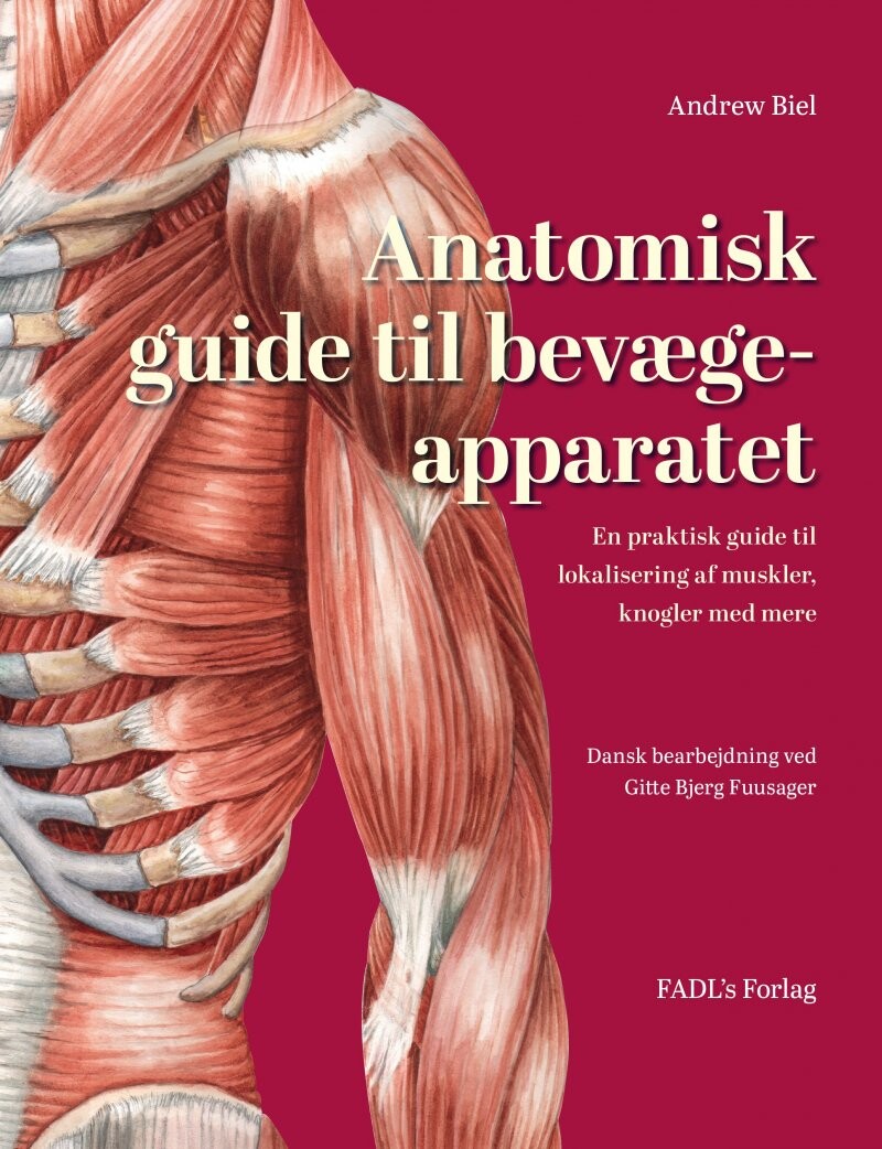 Anatomisk Guide Til Bevægeapparatet - Andrew Biel - Bog