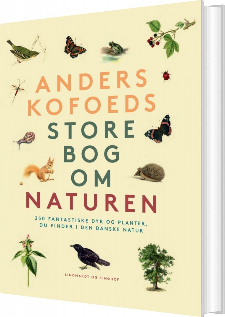 Billede af Anders Kofoeds Store Bog Om Naturen - Anders Kofoed - Bog