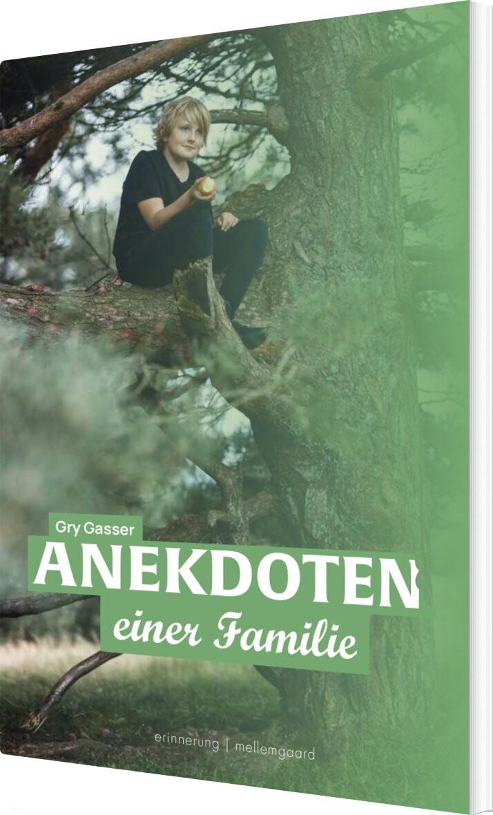 Anekdoten Einer Familie - Gry Gasser - Tysk Bog