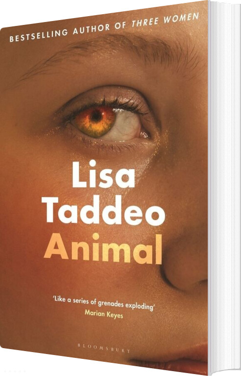 Animal - Lisa Taddeo - English Book