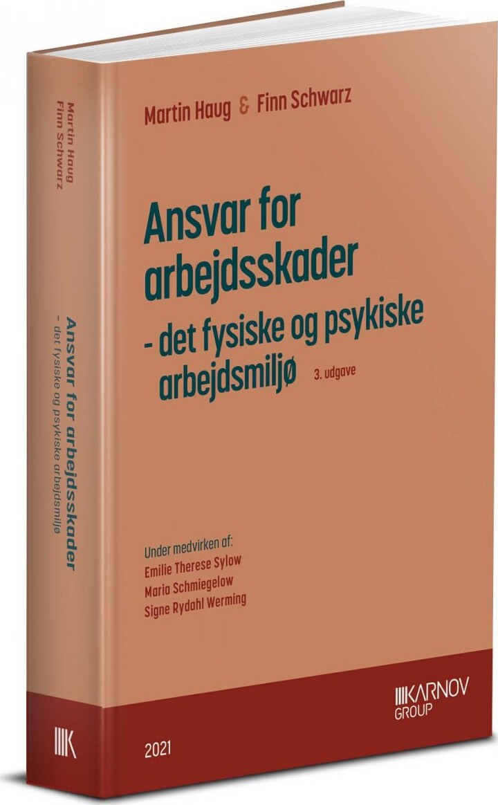 Ansvar For Arbejdsskader - Det Fysiske Og Psykiske Arbejdsmiljø - Finn Schwarz - Bog