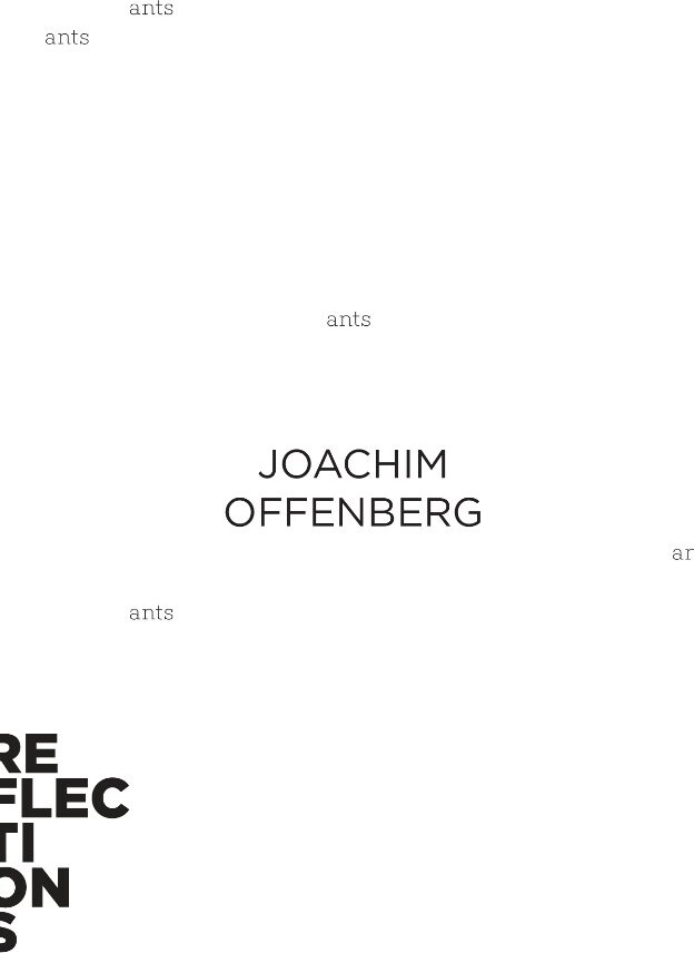 Billede af Ants - Joachim Offenberg - English Book