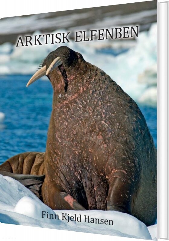 Billede af Arktisk Elfenben - Finn Kjeld Hansen - Bog