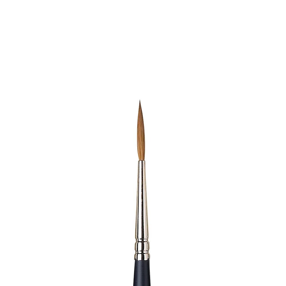 Winsor & Newton - Artists Watercolour Brush Sable Rigger 2