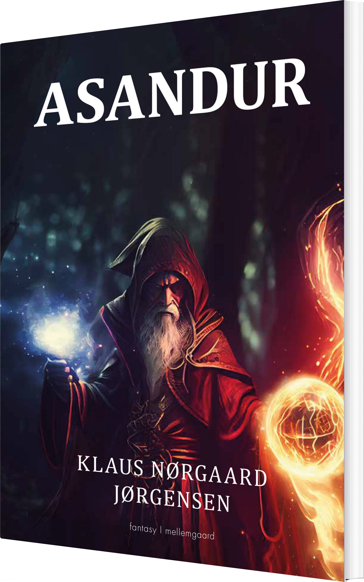 Asandur - Klaus Nørgaard Jørgensen - Bog