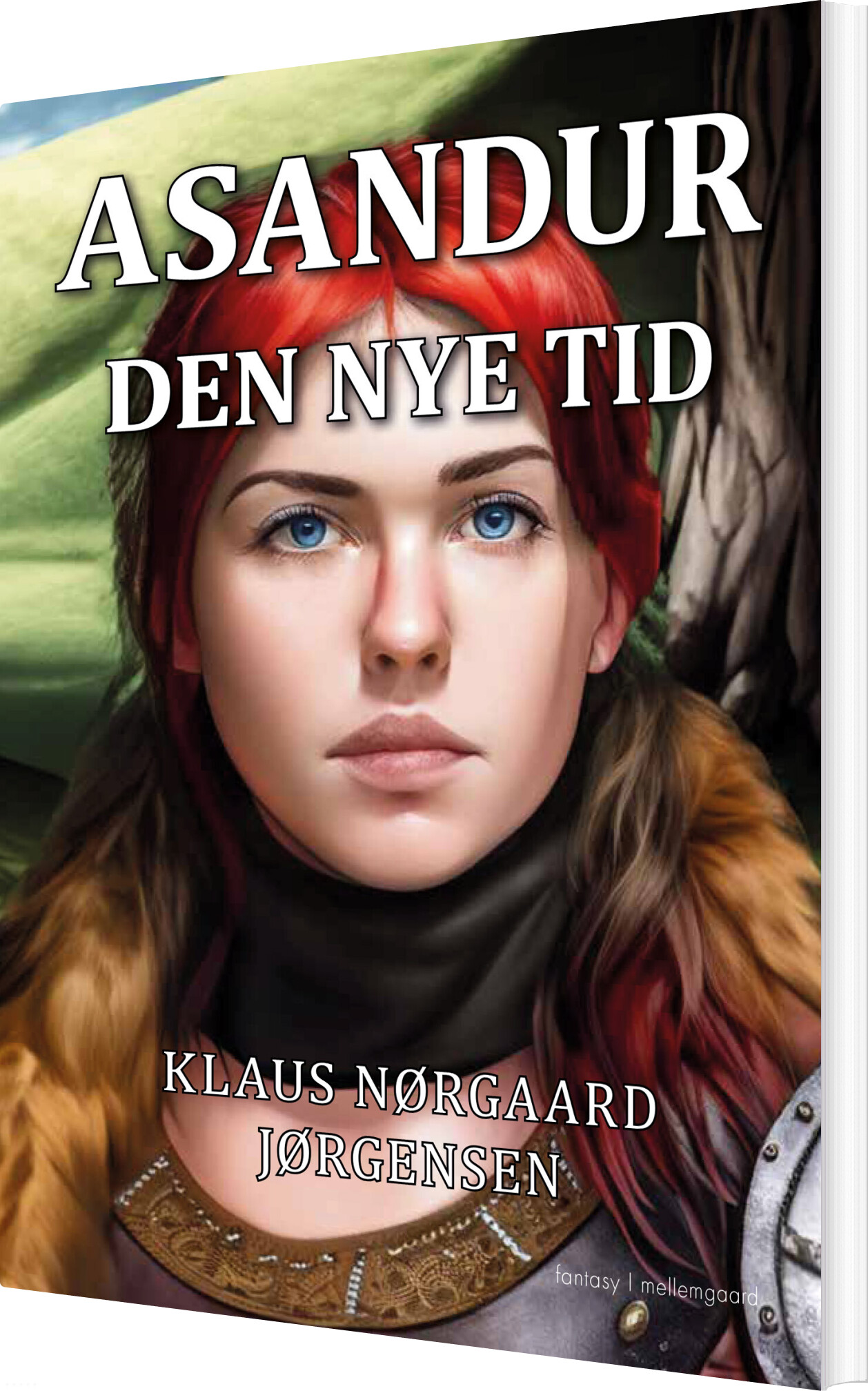 Asandur - Klaus Nørgaard Jørgensen - Bog