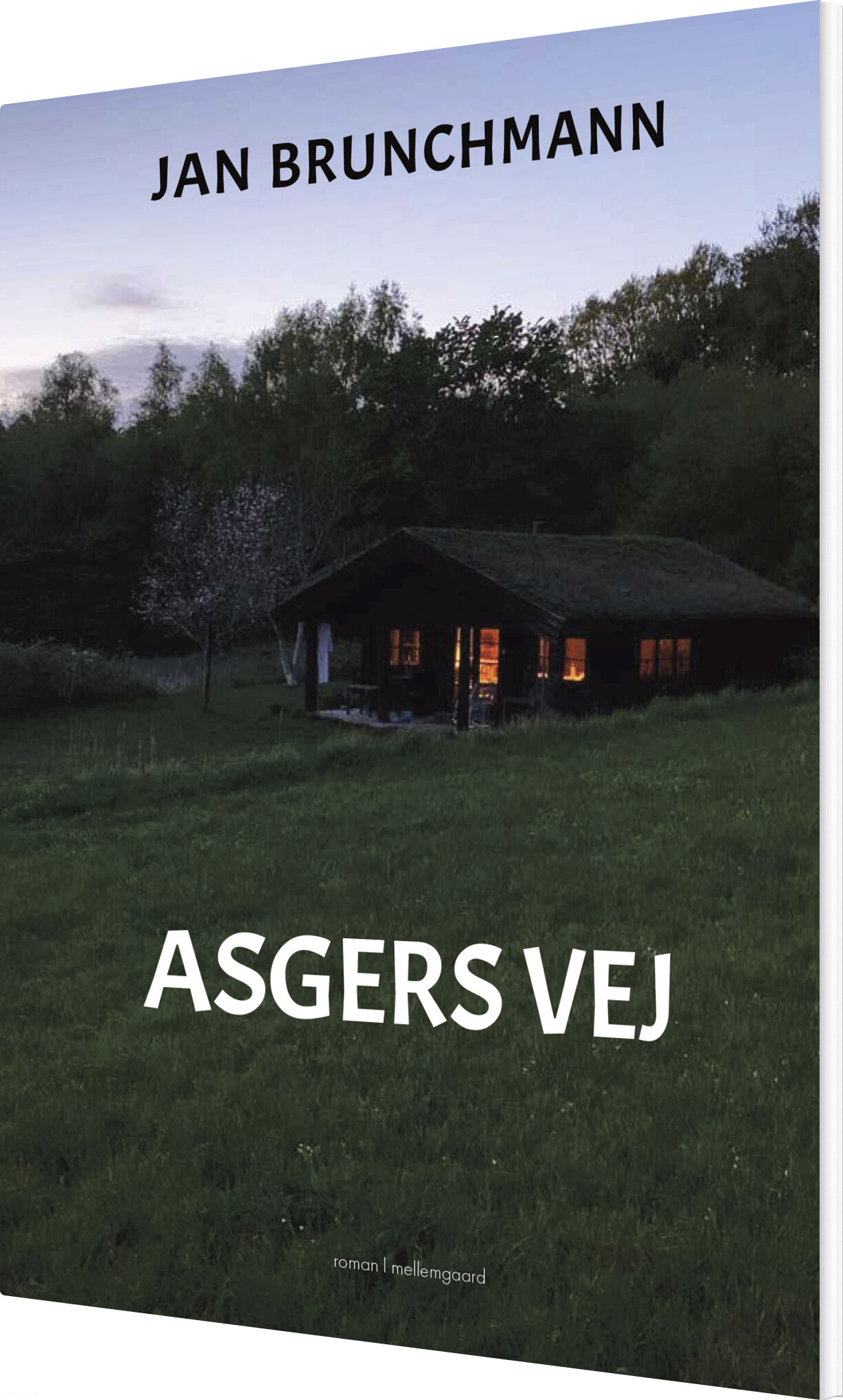 Asger Vej - Jan Brunchmann - Bog