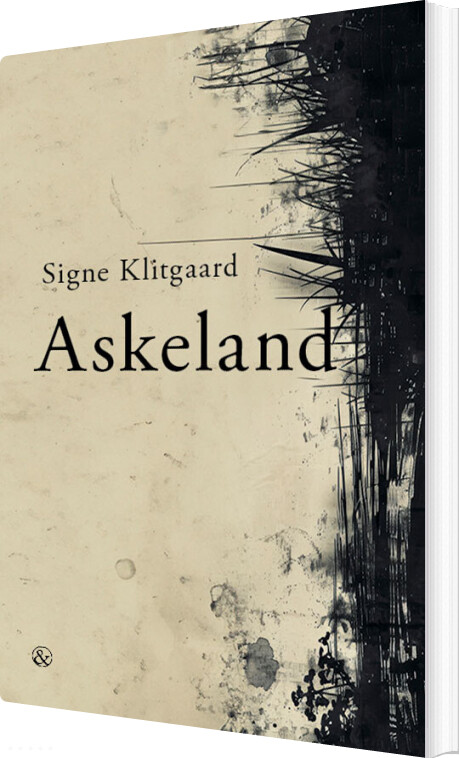 Billede af Askeland - Signe Klitgaard - Bog