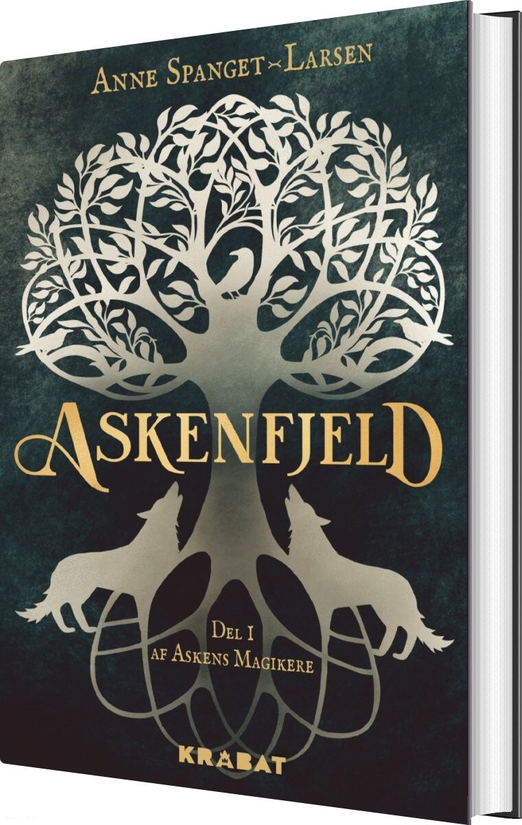 Billede af Askenfjeld - Anne Spanget-larsen - Bog