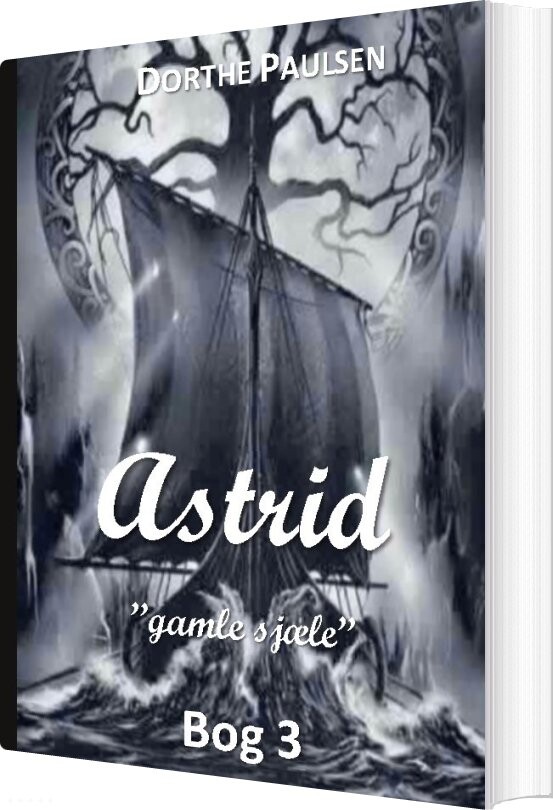 Billede af Astrid 3 - Dorthe Paulsen - Bog