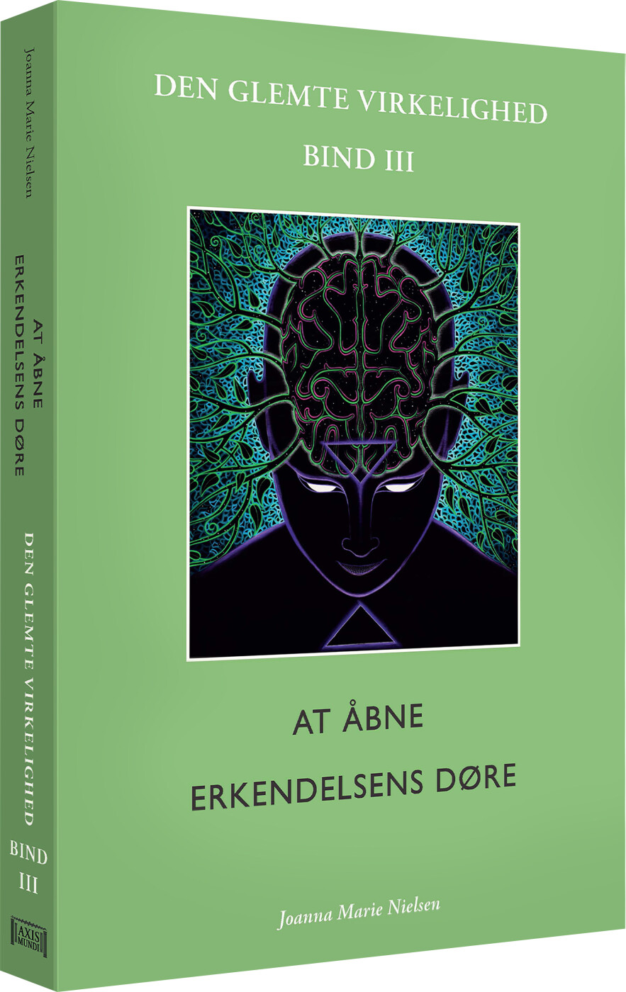 Billede af Den Glemte Virkelighed - Bind Iii - Joanna Marie Nielsen - Bog