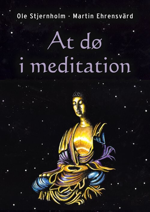 Billede af At Dø I Meditation - Ole Stjernholm - Bog