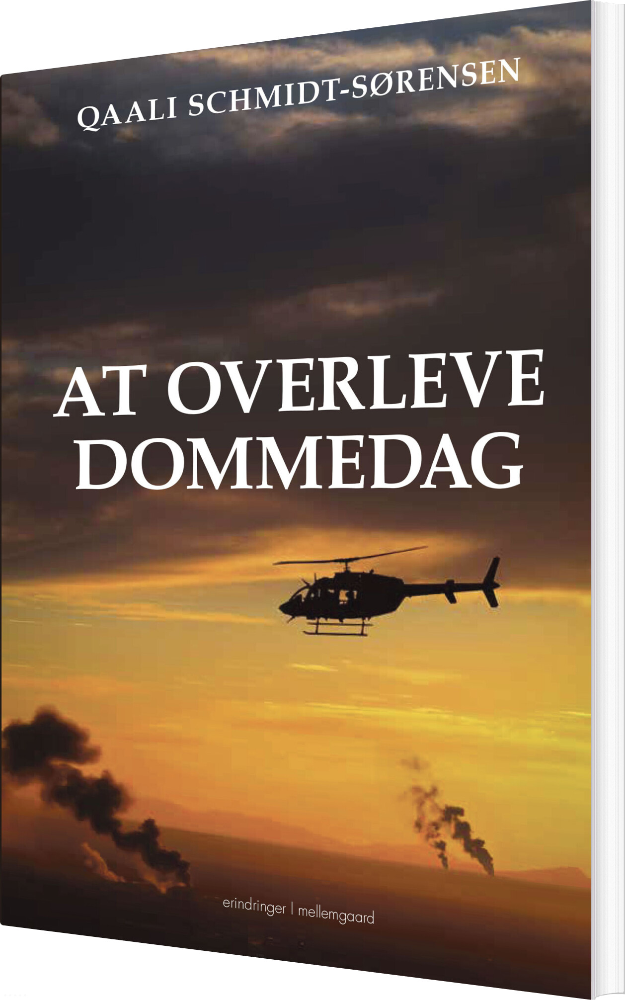 At Overleve Dommedag - Qaali Schmidt-sørensen - Bog