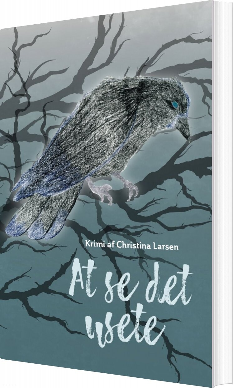 At Se Det Usete - Christina Larsen - Bog