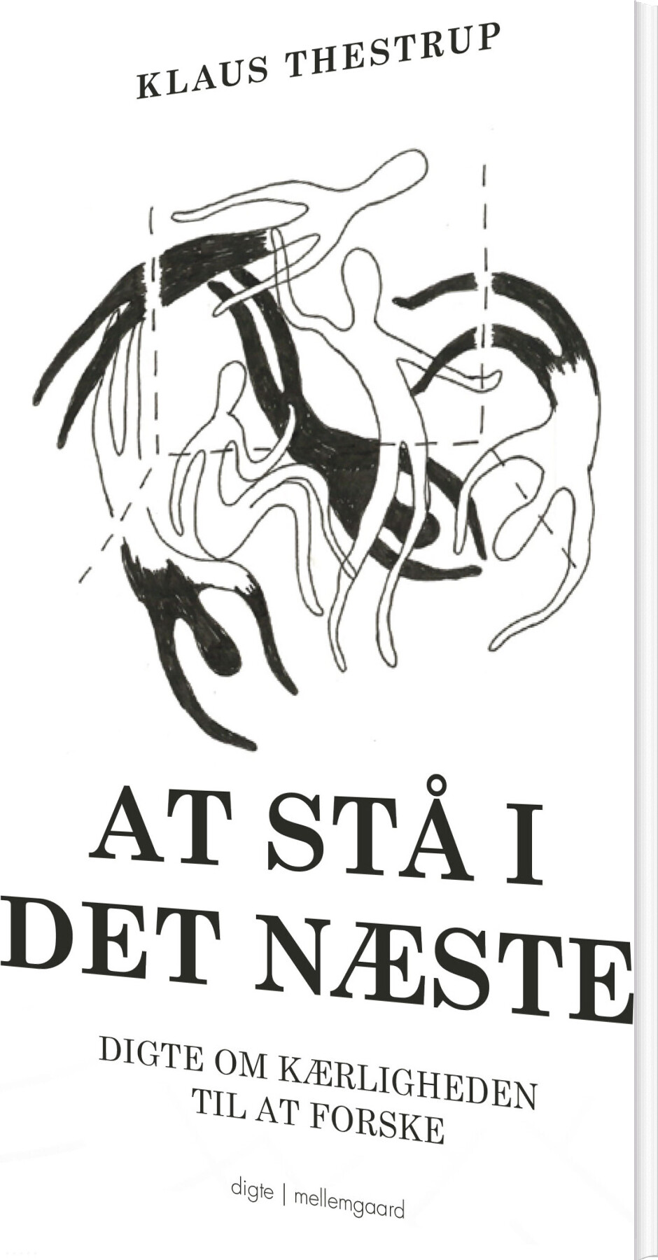 At Stå I Det Næste - Klaus Thestrup - Bog