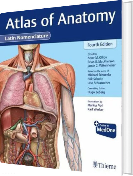 Billede af Atlas Of Anatomy: Latin Nomenclature - Anne M. Gilroy - English Book