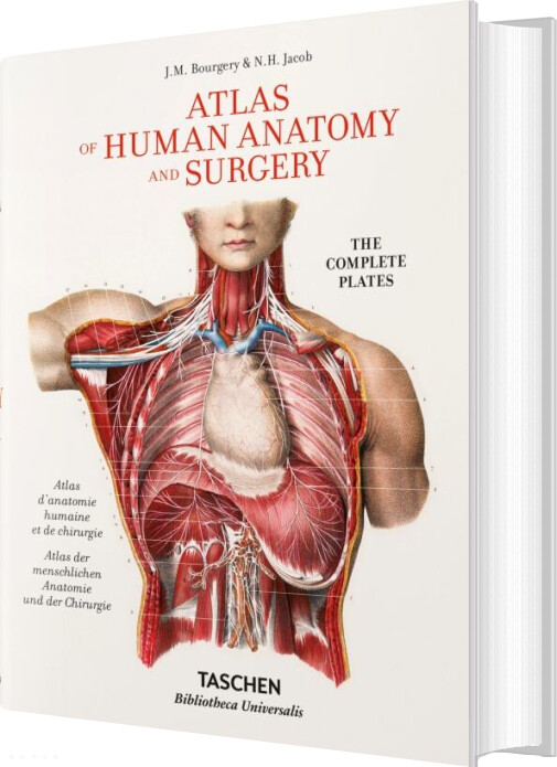 Atlas Of Human Anatomy And Surgery: The Complete Plates - J.m. Bourgery - English Book