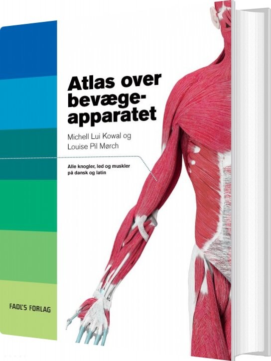 Atlas Over Bevægeapparatet - Michell Kowal - Bog