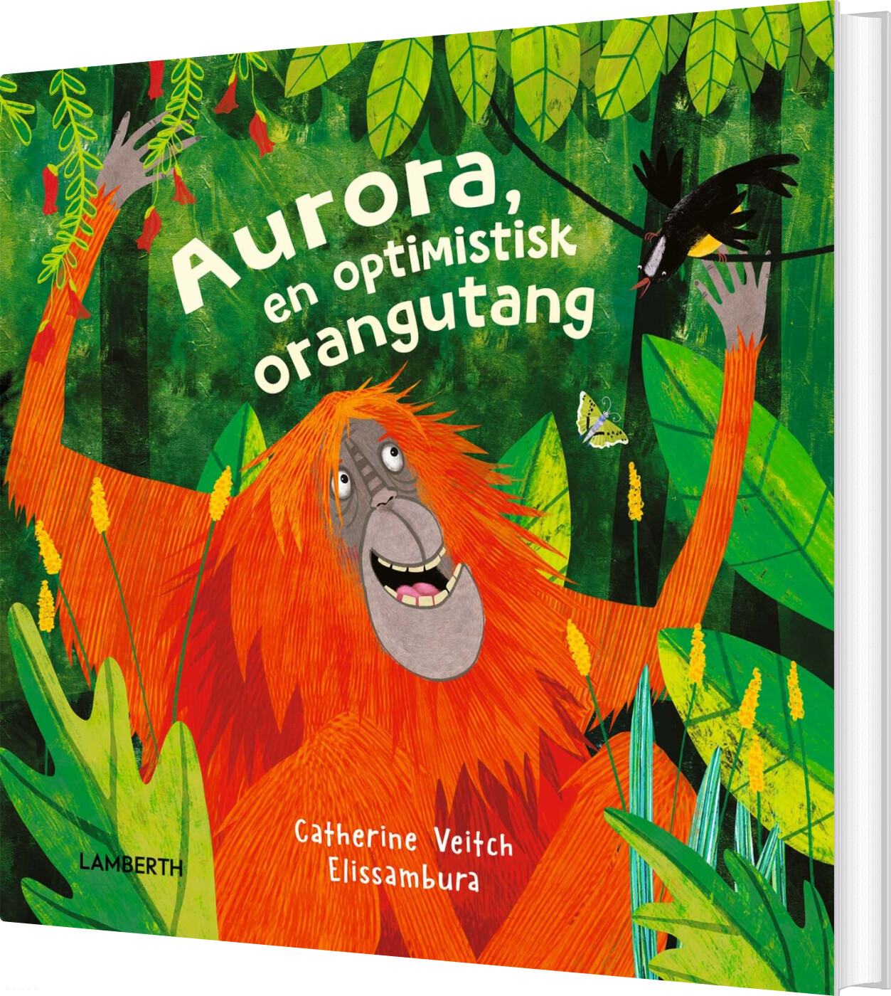 Aurora, En Optimistisk Orangutang - Catherine Veitch - Bog