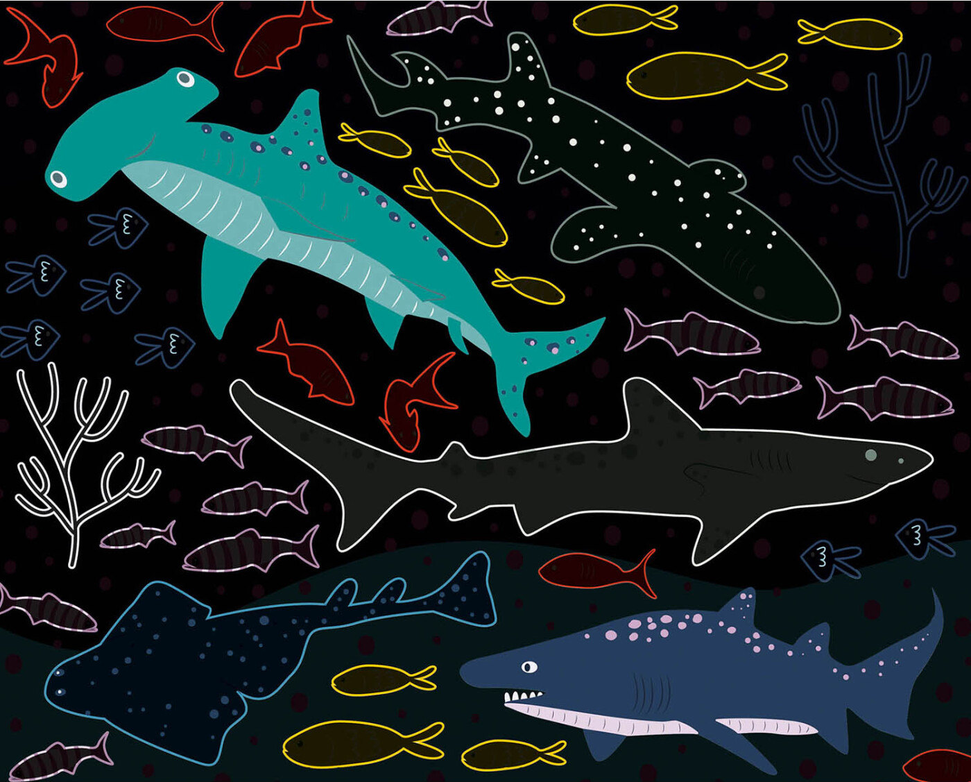 Scratch Art - Ridsekort - Havet - 10 Billeder - Auzou