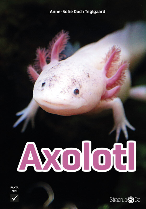 Axolotl - Anne-sofie Duch Teglgaard - Bog