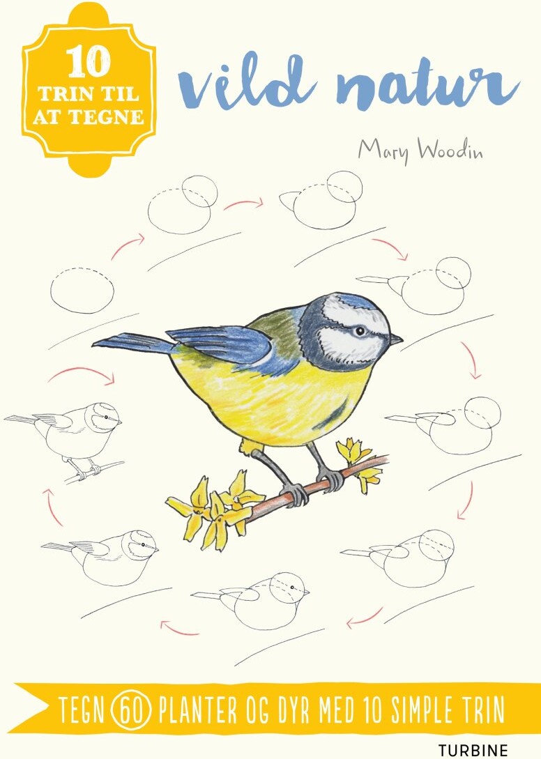 10 Trin Til At Tegne Vild Natur - Mary Woodin - Bog