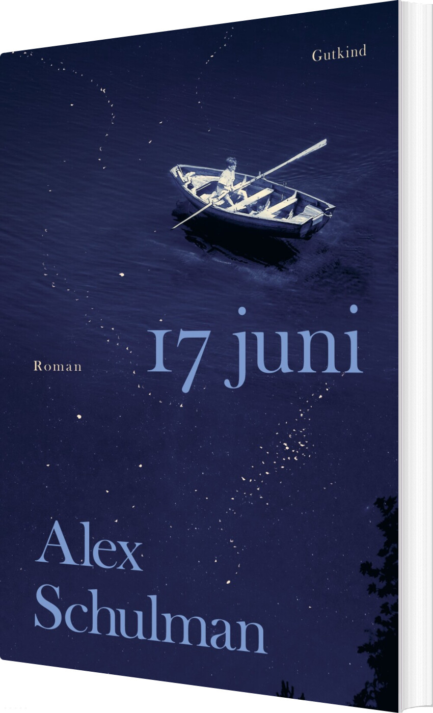 17. Juni - Alex Schulman - Bog
