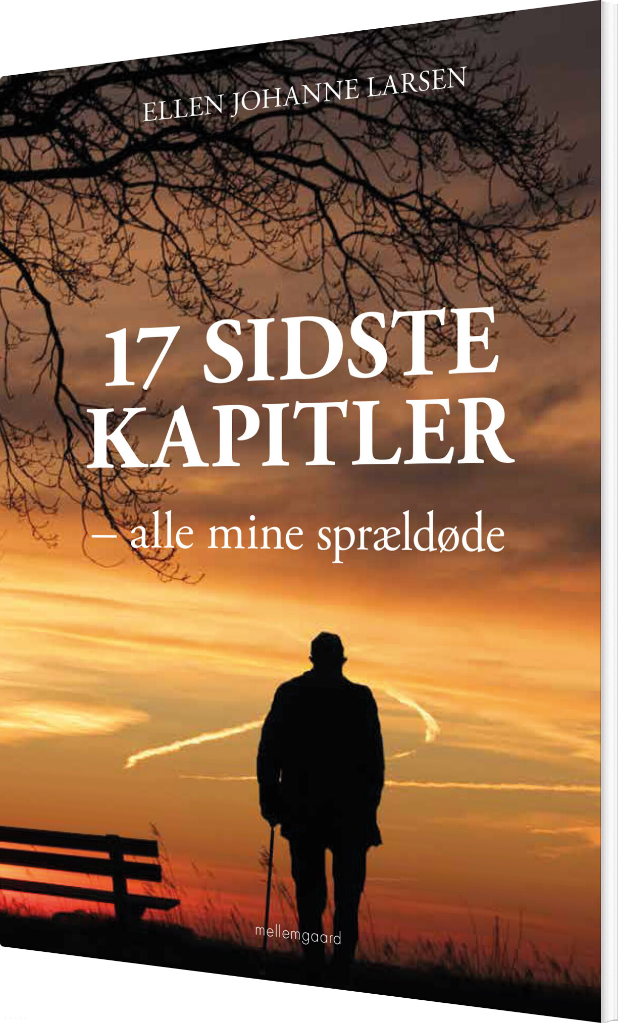 Billede af 17 Sidste Kapitler - Ellen Johanne Larsen - Bog