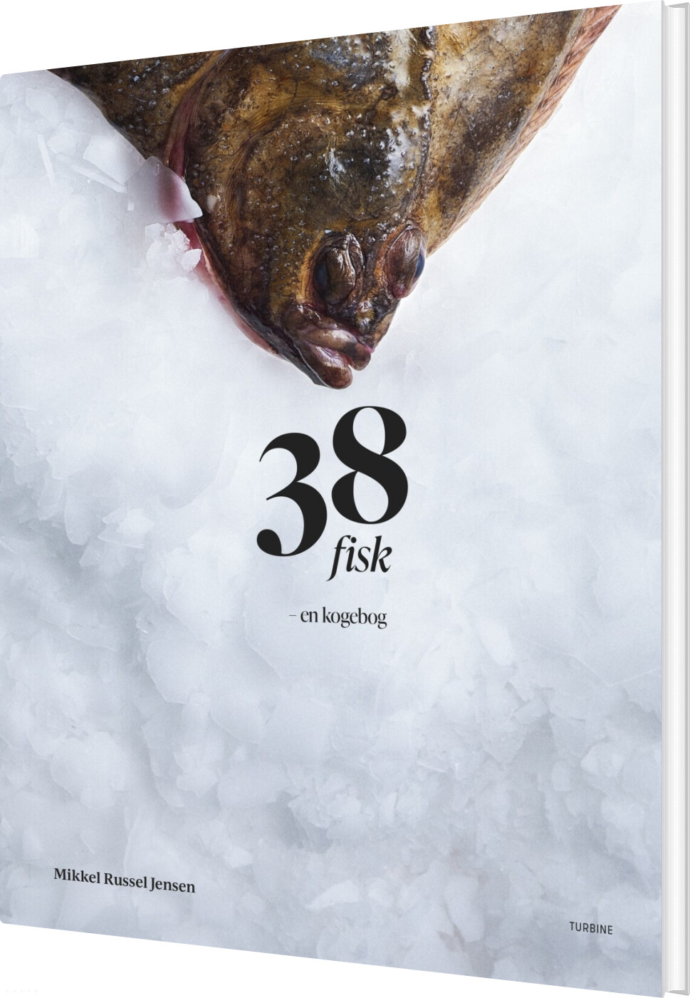 Billede af 38 Fisk - Mikkel Russel Jensen - Bog