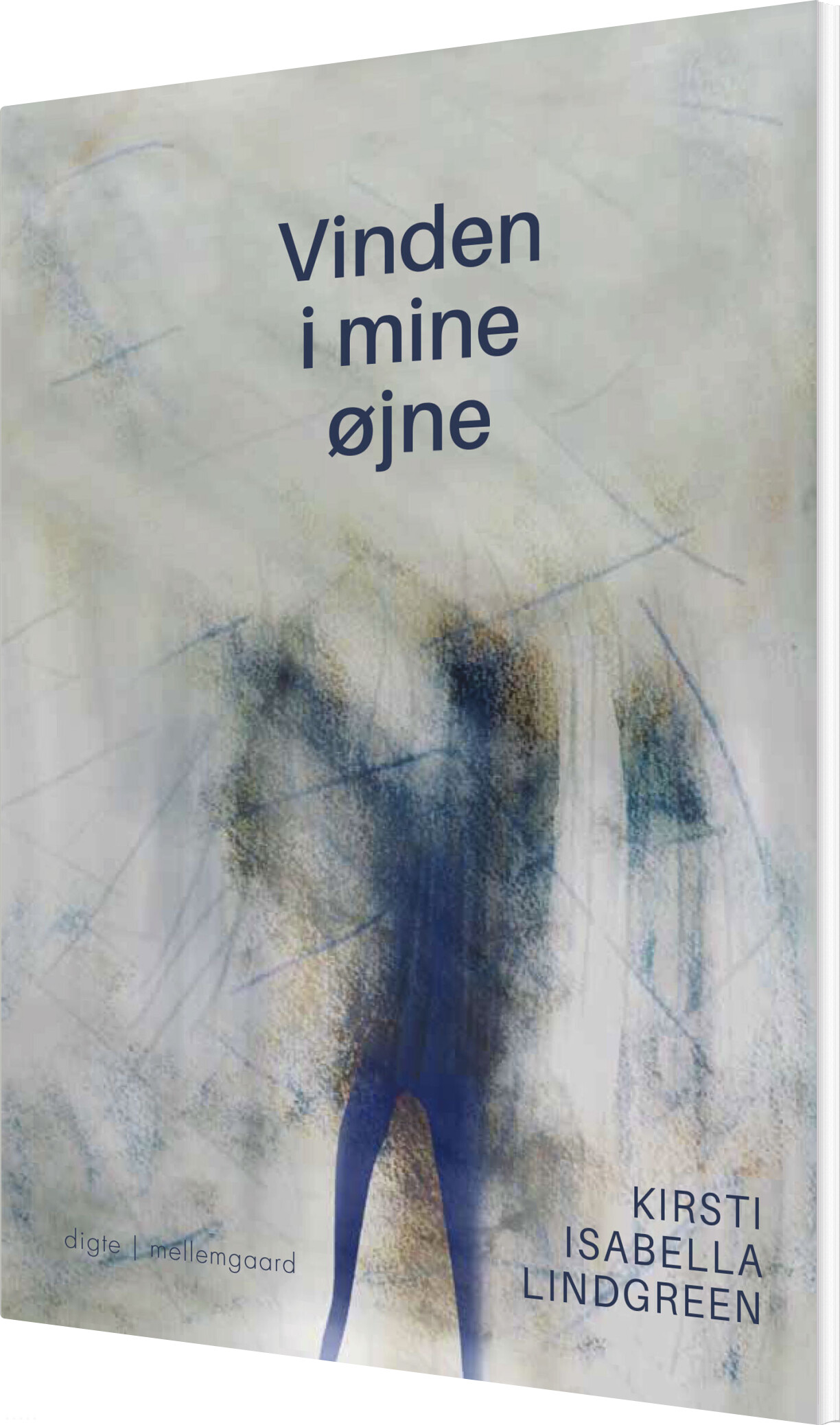Vinden I Mine øjne - Kirsti Isabella Lindgreen - Bog