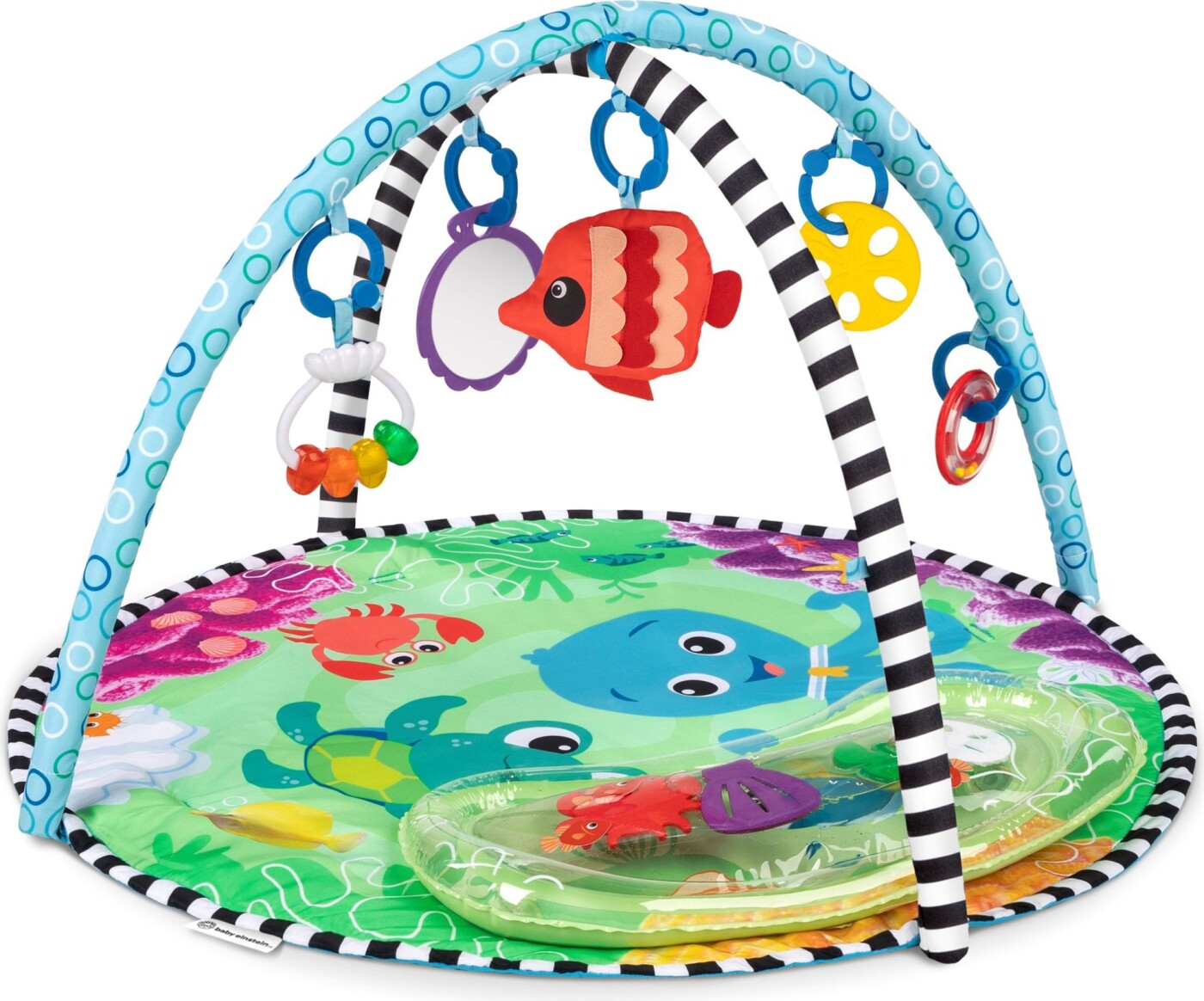 Baby Einstein Sea Floor Explorersâ¢ 2 - i - 1 Aktivitets - Gym