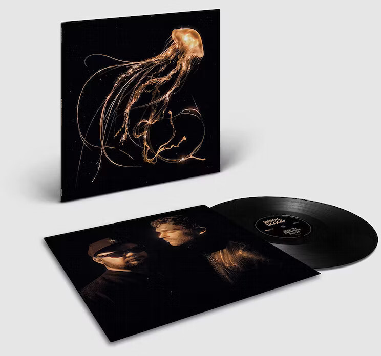 Royal Blood - Back To The Water Below - Vinyl Lp