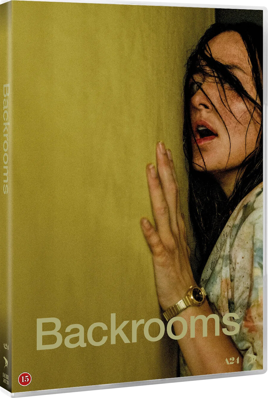 Backrooms - DVD - Film