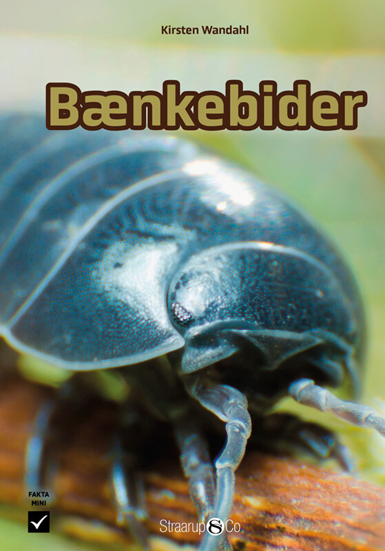 Bænkebider - Kirsten Wandahl - Bog