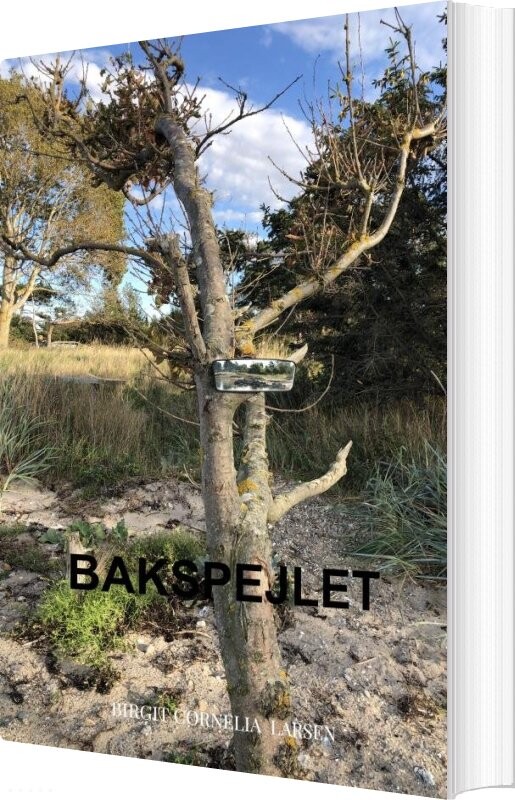 Billede af Bakspejlet - Birgit Cornelia Larsen - Bog