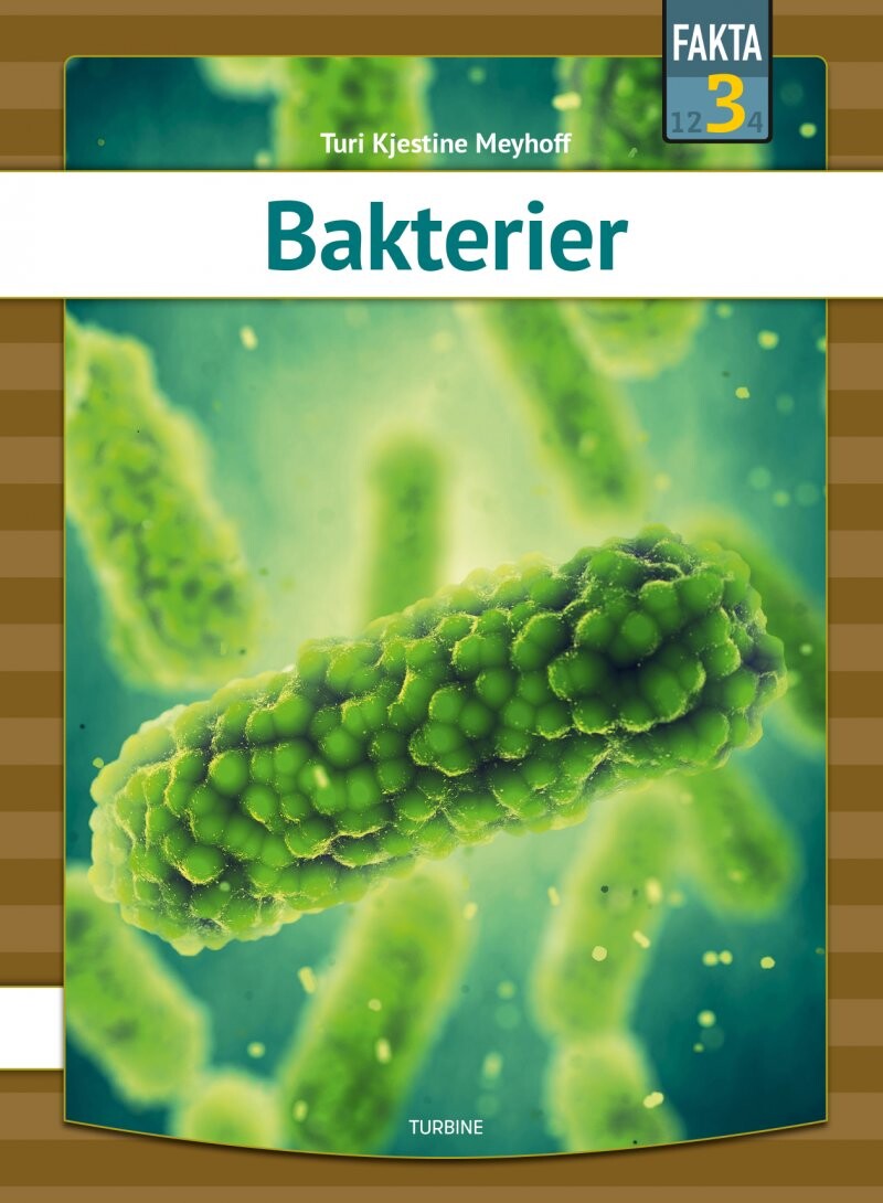 Billede af Bakterier - Turi Kjestine Meyhoff - Bog