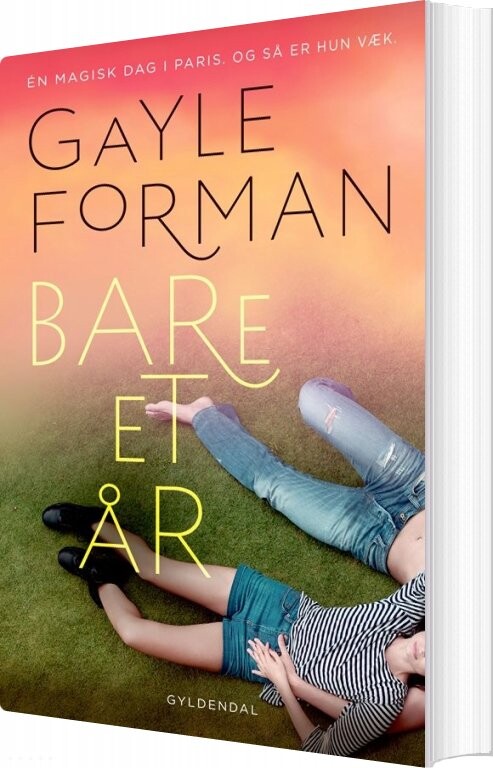 Billede af Bare Et år - Gayle Forman - Bog