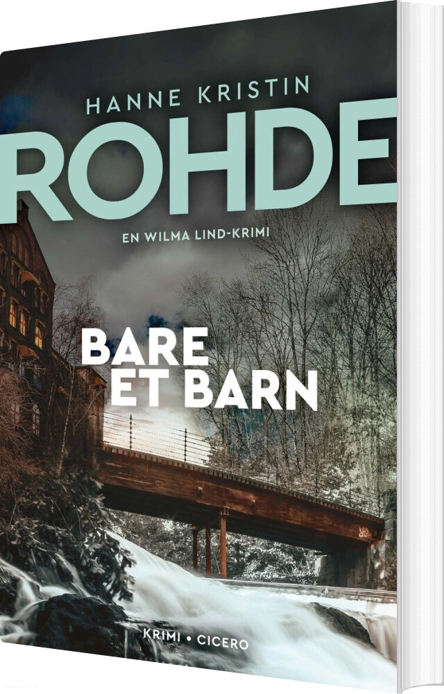 Bare Et Barn - Hanne Kristin Rohde - Bog